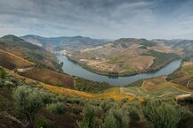 Mirdouro_ervedosa_