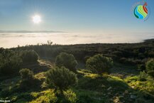 Sra_do_Vencimento__em_dias_de_nevoeiro_