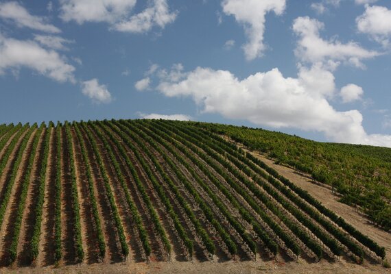 jornadas_cooperativas