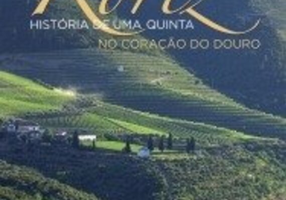 2011111617411778474_1_