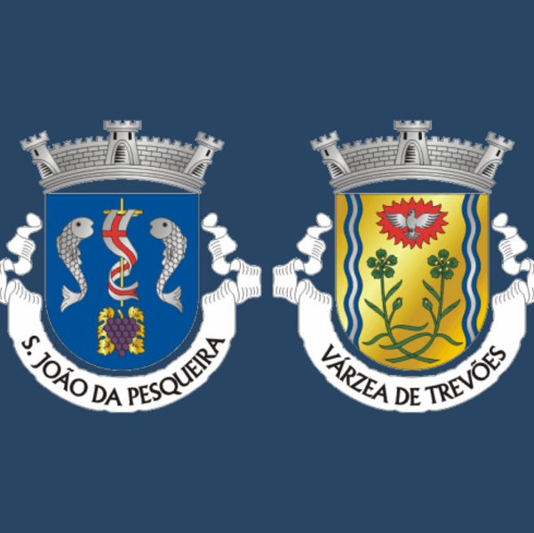 União das Freguesias de S. João da Pesqueira e Várzea de Trevões