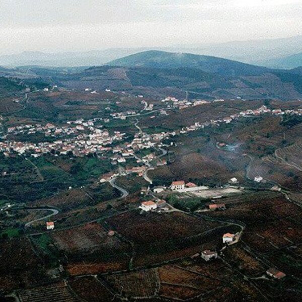Ervedosa do Douro