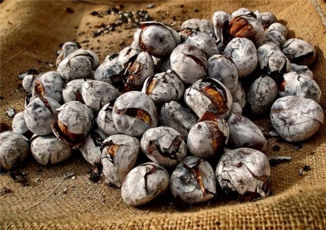Castanhas 1 1024 2500