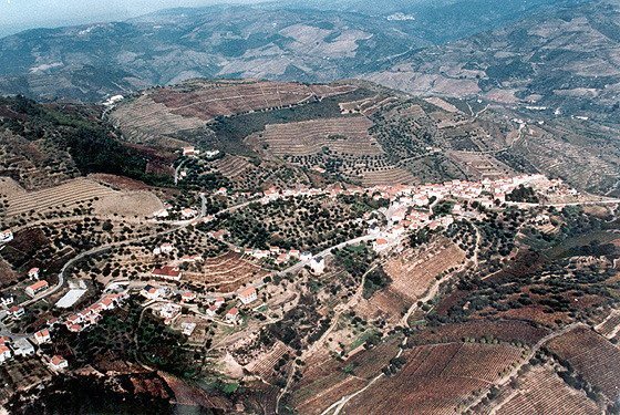 Nagoselo do Douro