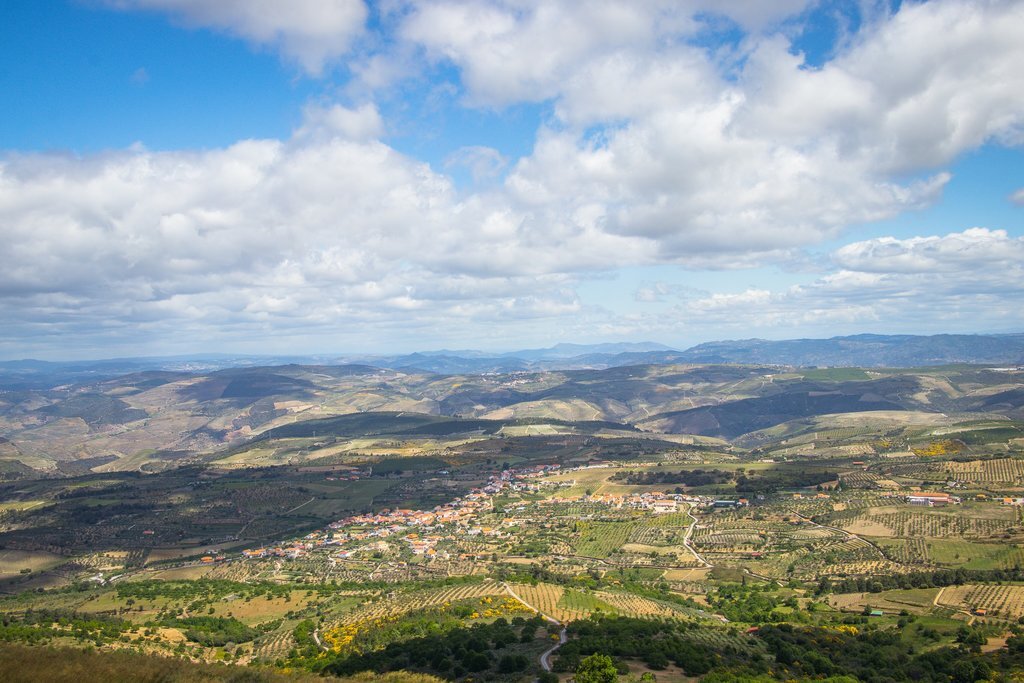 img_8584_1_1_1024_2500