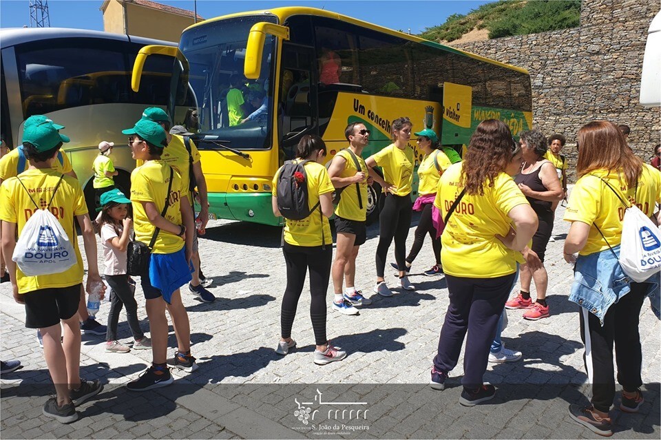 61352610_2195406317163002_5417955077576982528_n