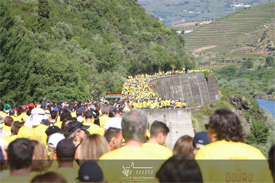 61539370_2195405903829710_5322941437392715776_n