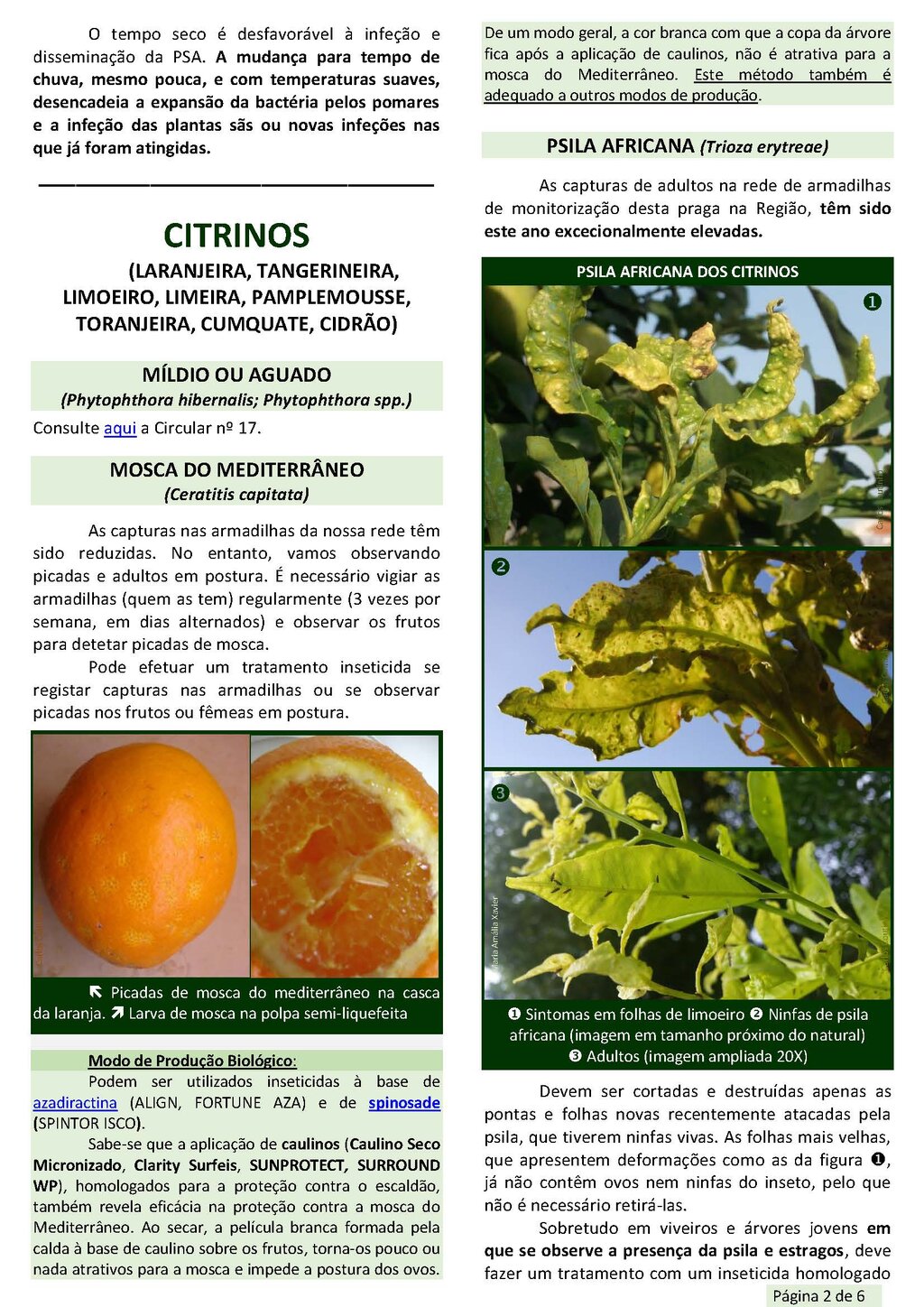 Circ_18_2019_EAEDM_Page_2