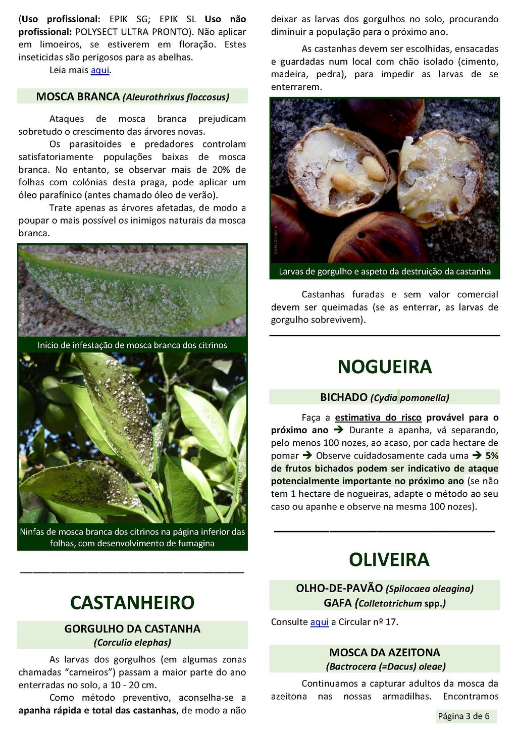 Circ_18_2019_EAEDM_Page_3