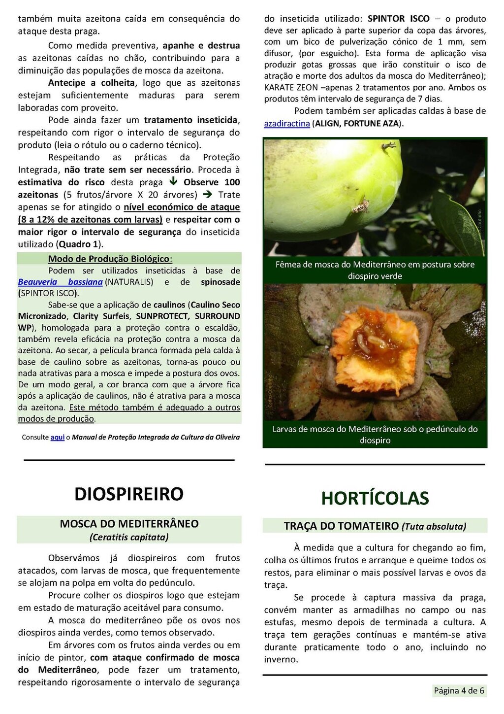 Circ_18_2019_EAEDM_Page_4