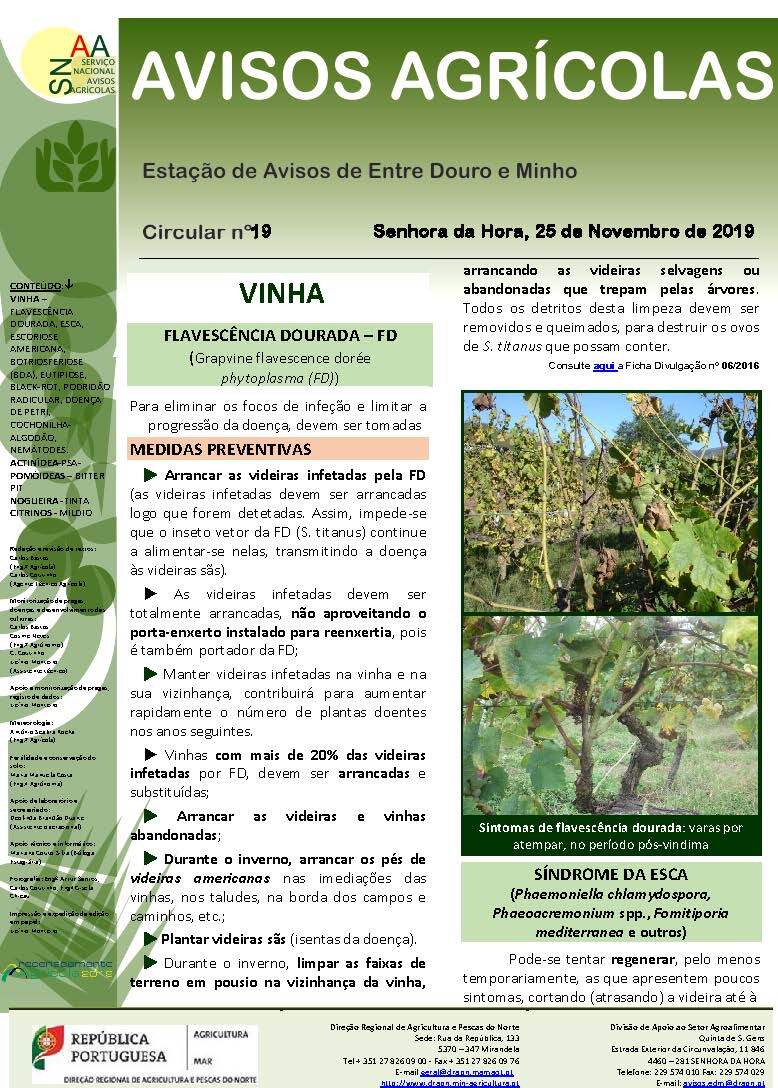 Circ_19_2019_EDM_Page_1