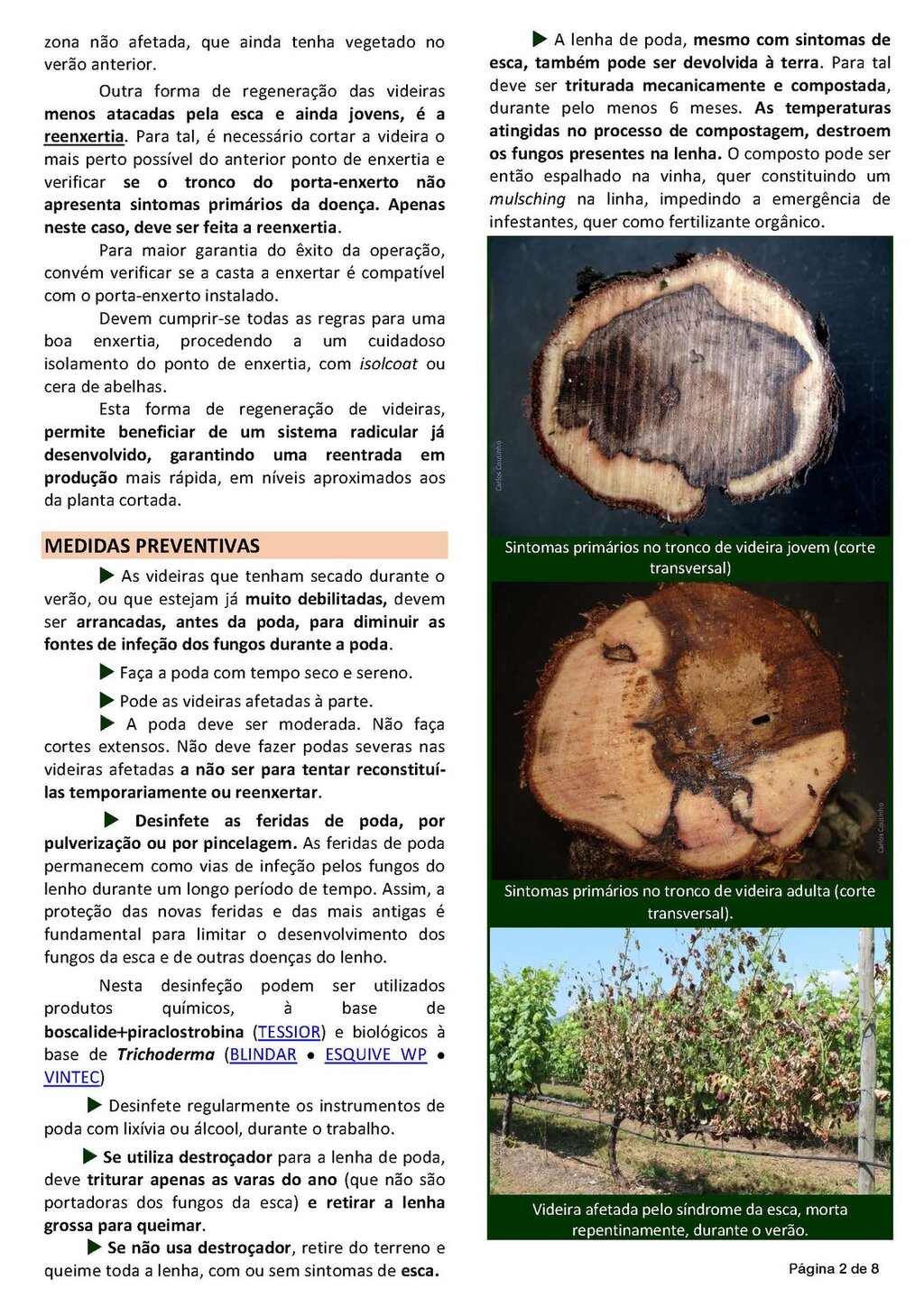 Circ_19_2019_EDM_Page_2