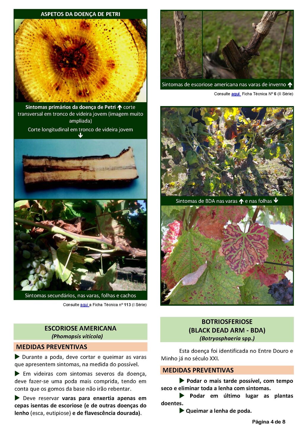 Circ_19_2019_EDM_Page_4