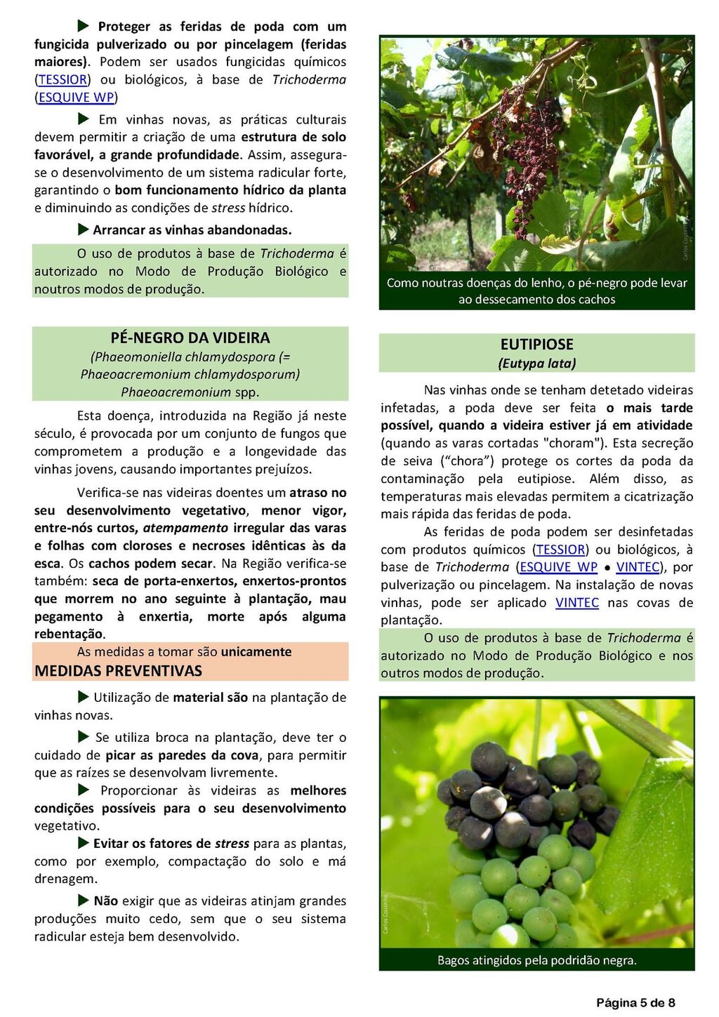 Circ_19_2019_EDM_Page_5