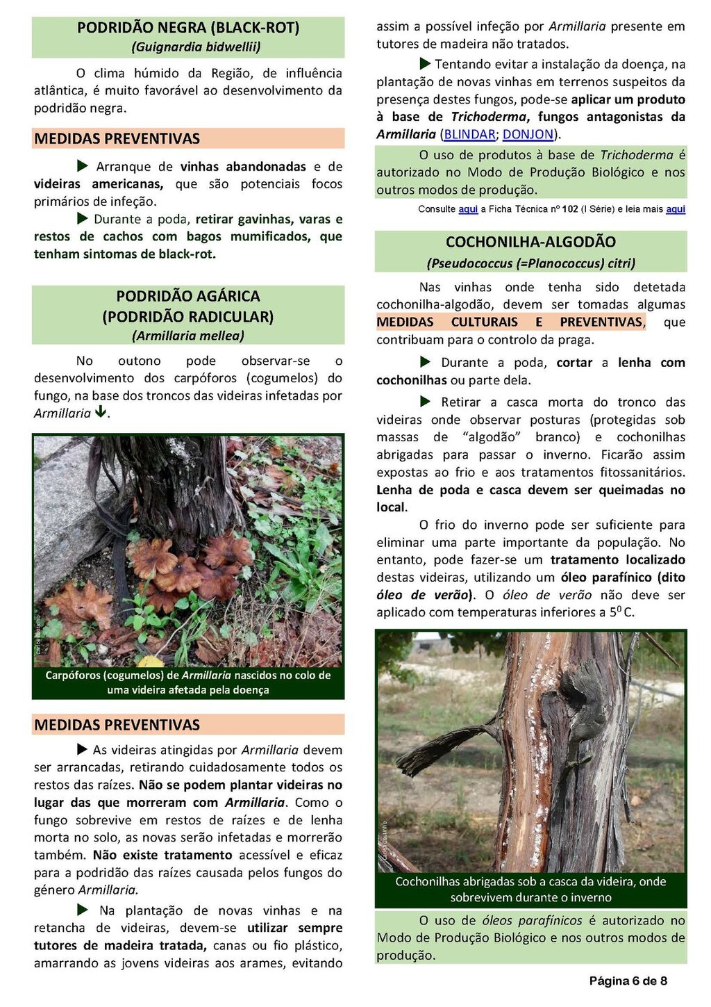 Circ_19_2019_EDM_Page_6