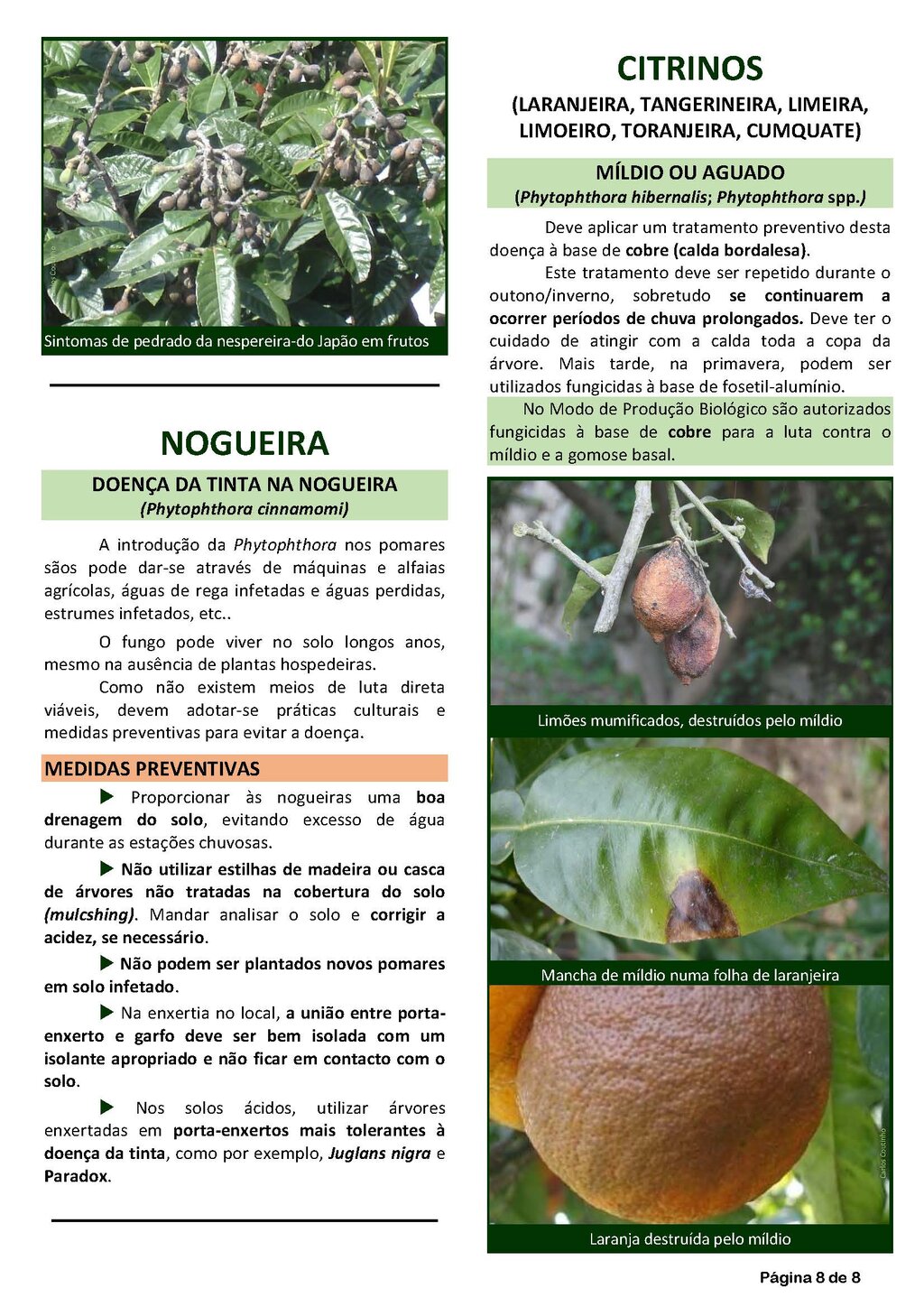 Circ_19_2019_EDM_Page_8