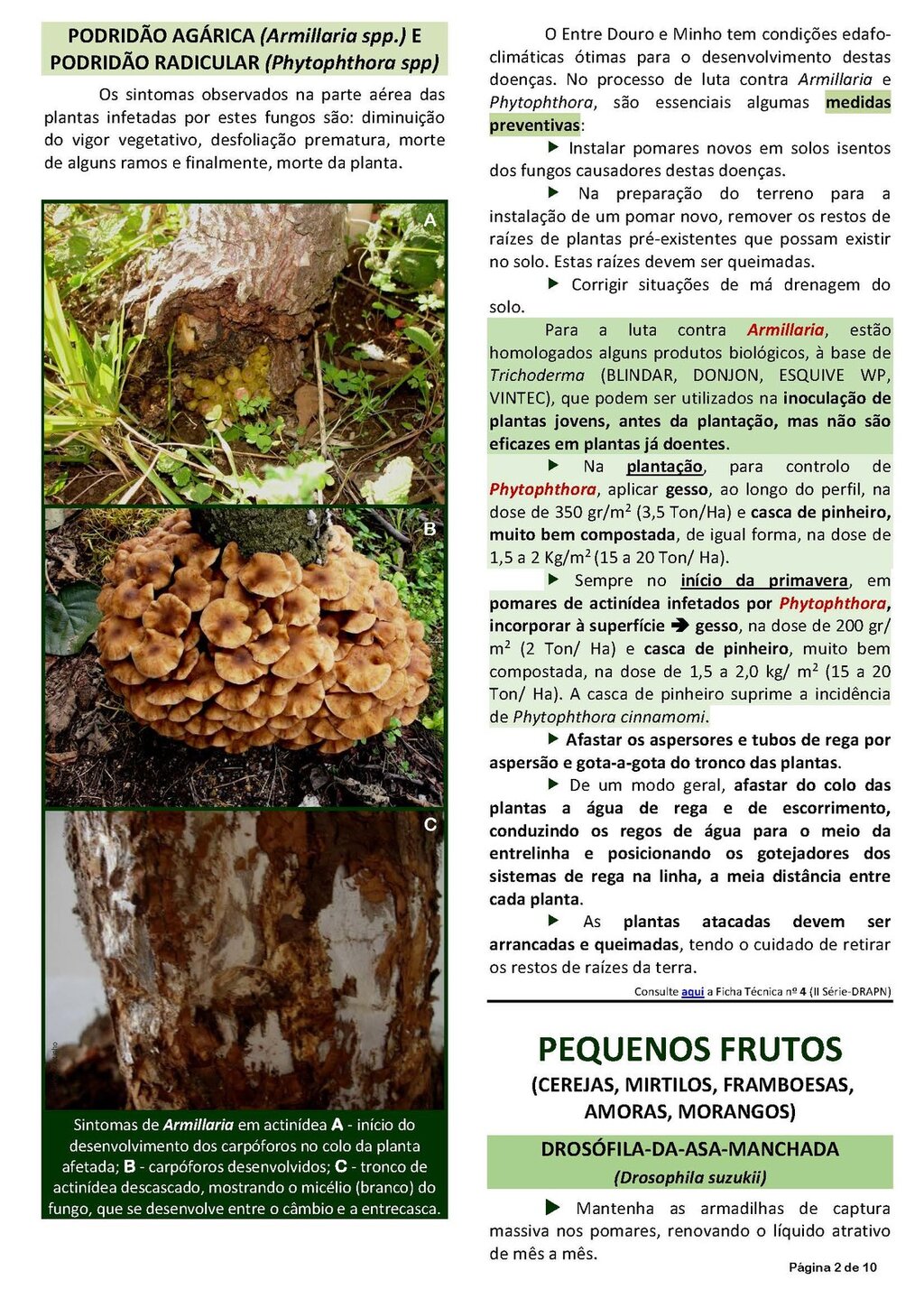 Circ_02_2020_EDM.pdf_Page_02