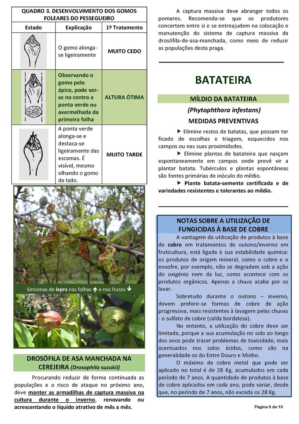 Circ_02_2020_EDM.pdf_Page_06