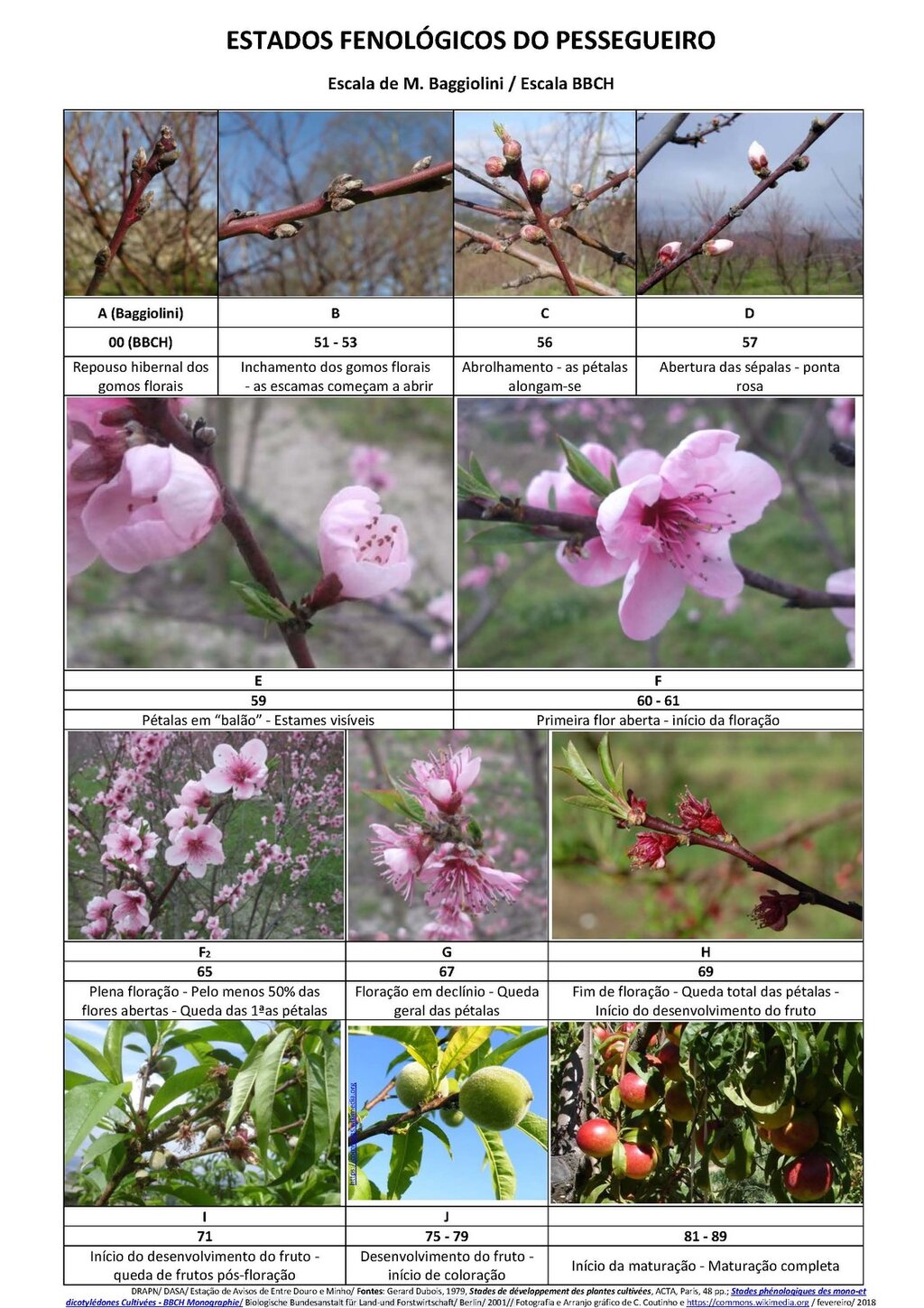 Circ_02_2020_EDM.pdf_Page_09