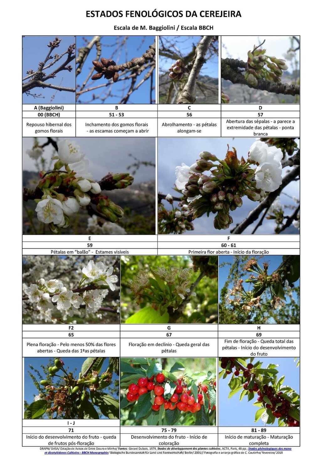 Circ_02_2020_EDM.pdf_Page_10