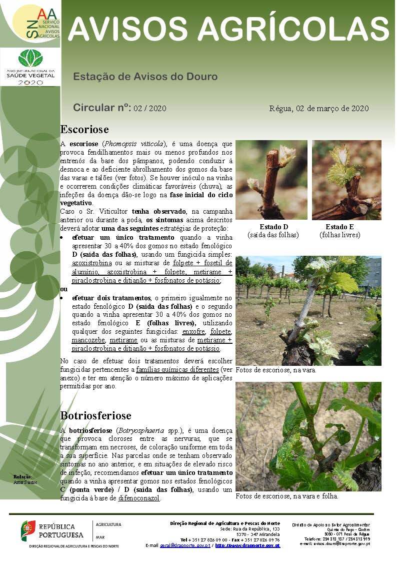 Circular EAD 02-20_Page_1