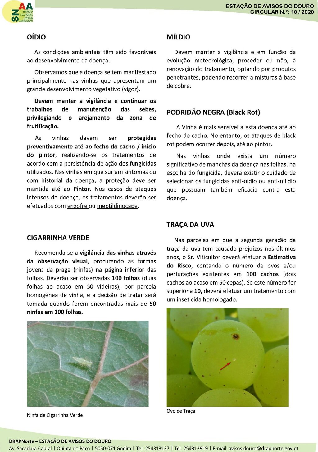 Circular EAD 10-20_Page_2