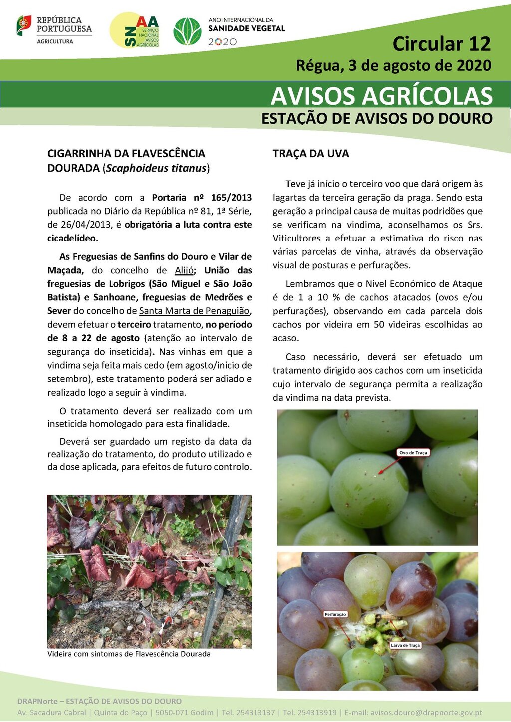 Circular EAD 12-20_Page_1