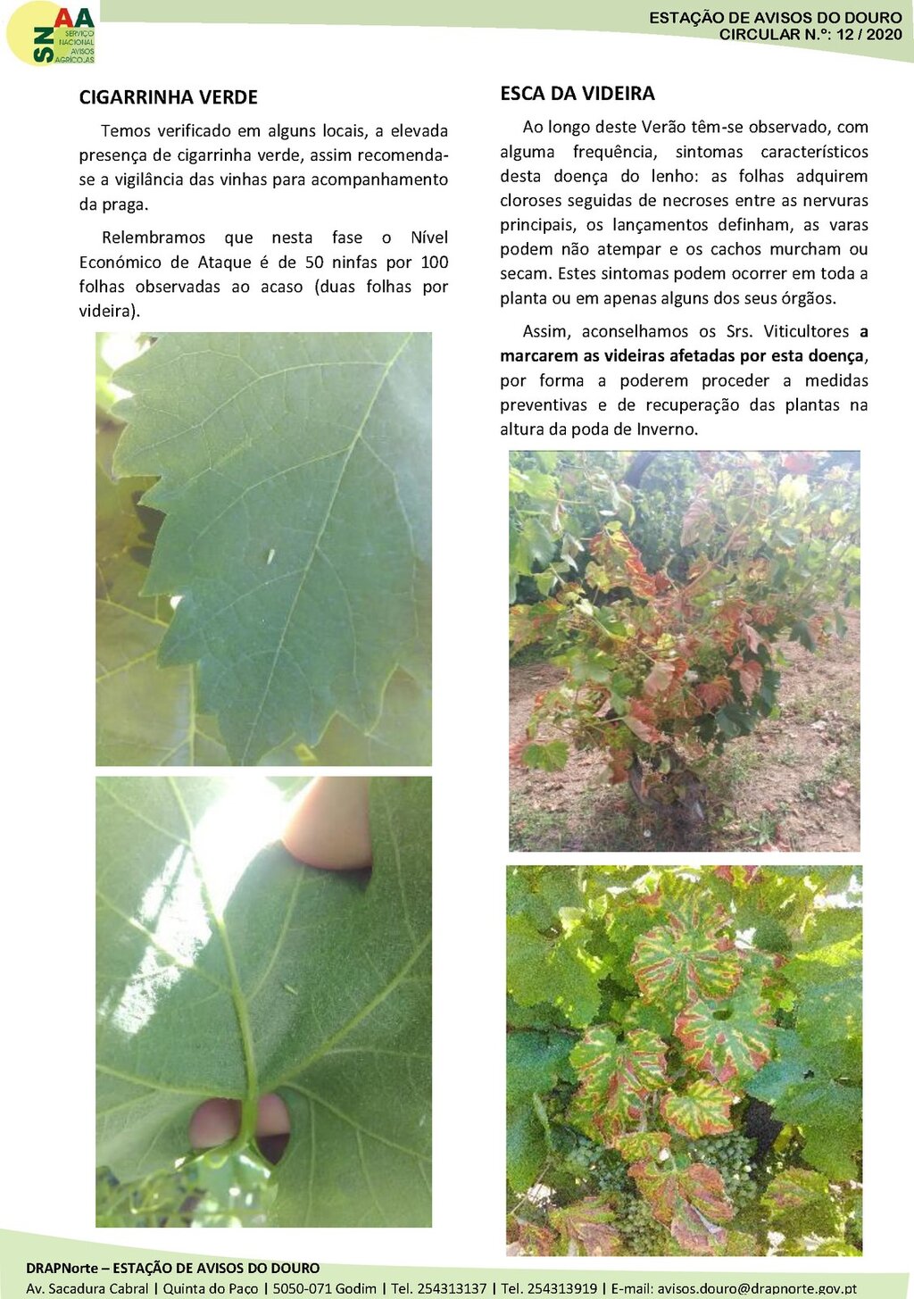 Circular EAD 12-20_Page_2