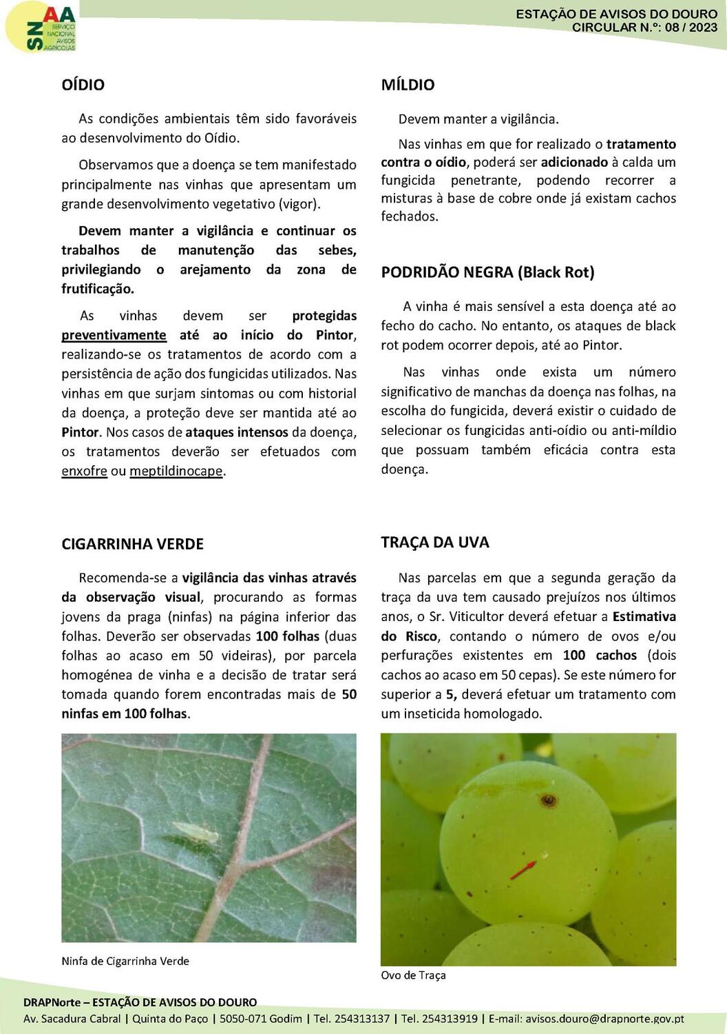 Circular EAD 08-23_P&aacute;gina_2