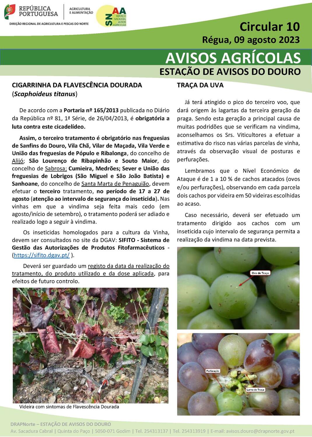 Circular EAD 10-23_P&aacute;gina_1