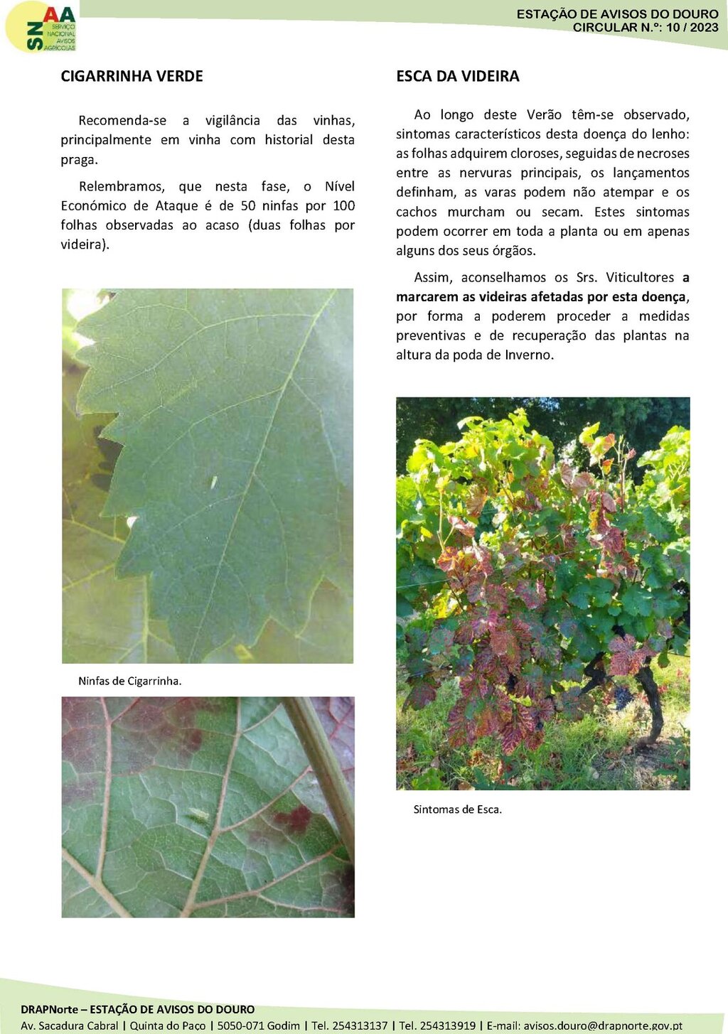 Circular EAD 10-23_P&aacute;gina_2