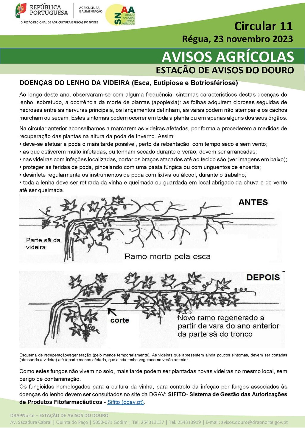 Circular EAD 11-23_P&aacute;gina_1