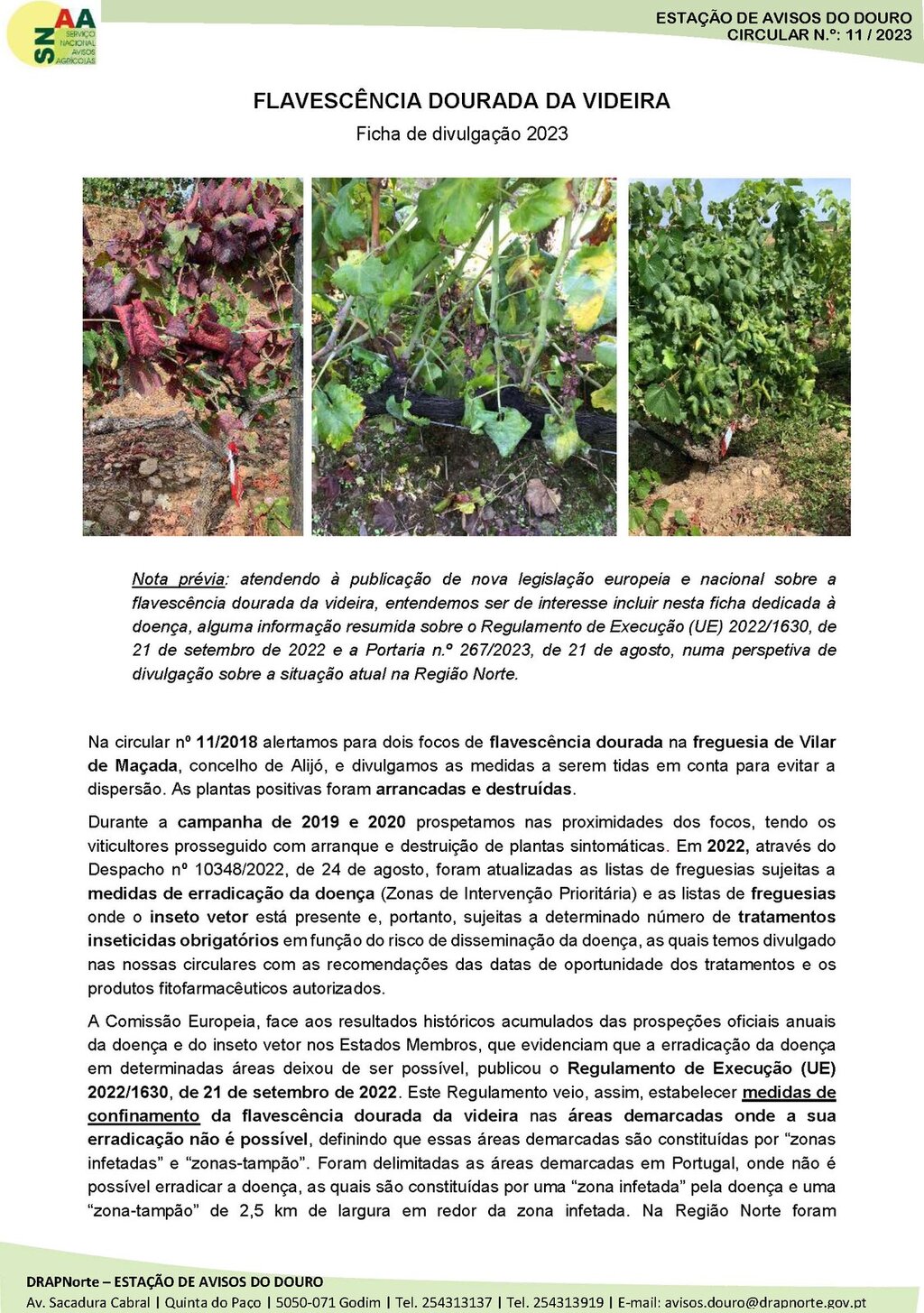 Circular EAD 11-23_P&aacute;gina_3