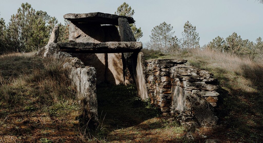 DOLM&Eacute;N DE AREITA
