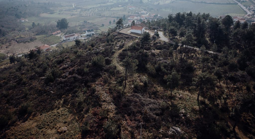 sr&ordf;da assun&ccedil;&atilde;o