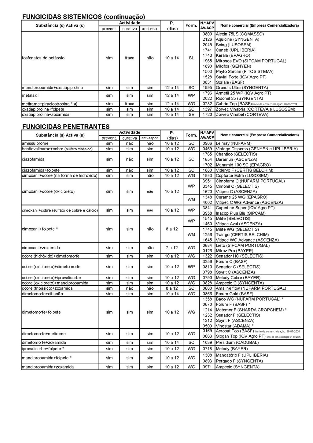Circular EAD 03-24_P&aacute;gina_3