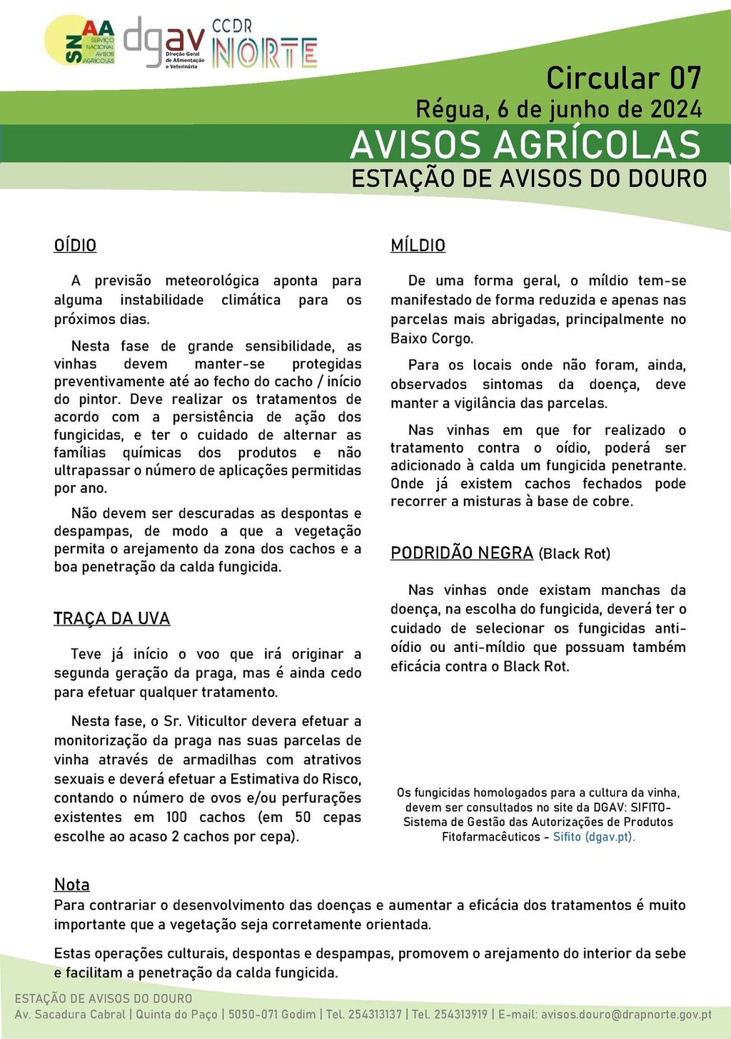 Circular EAD 07-24_P&aacute;gina_1