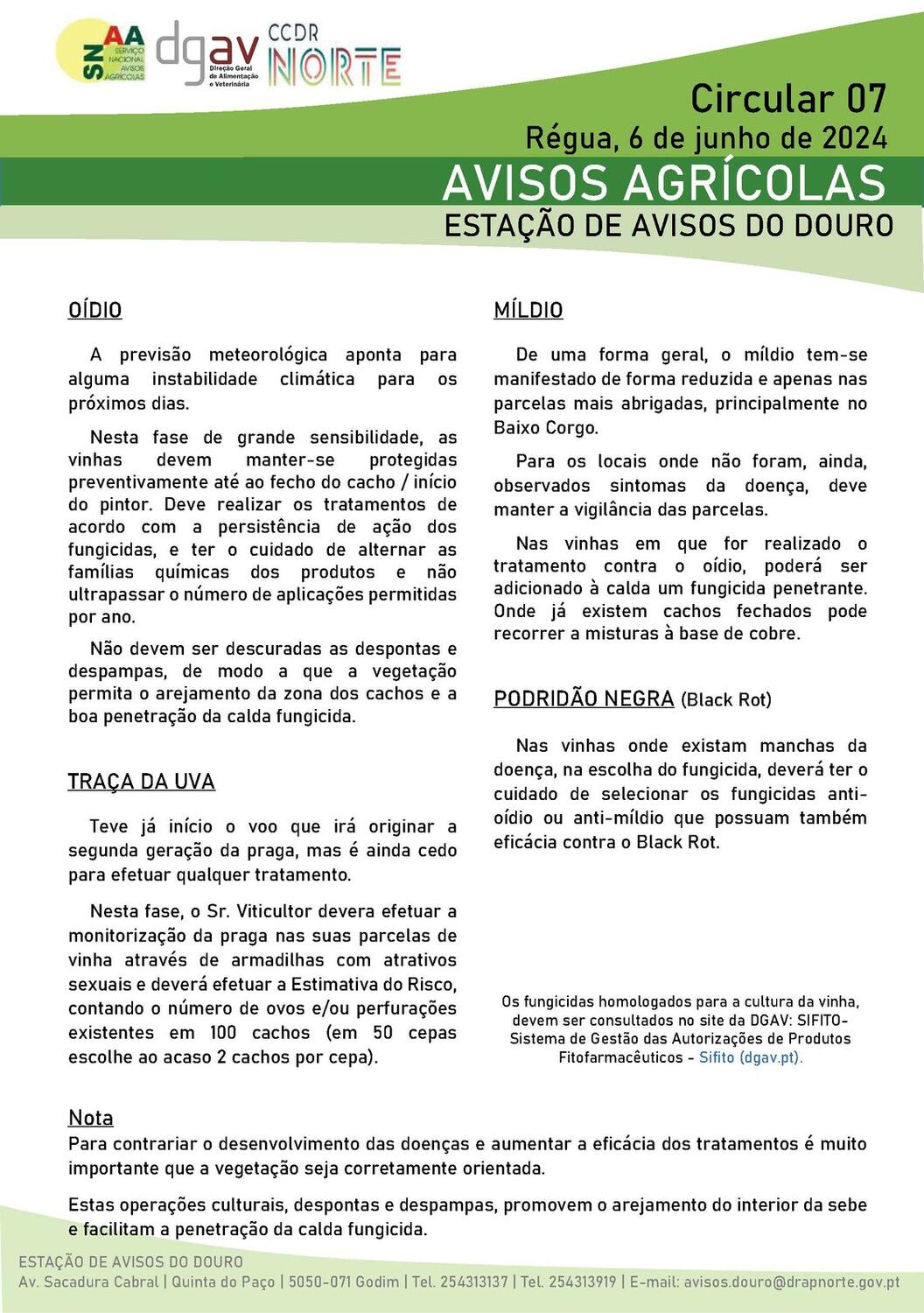 Circular EAD 07-24_P&aacute;gina_1