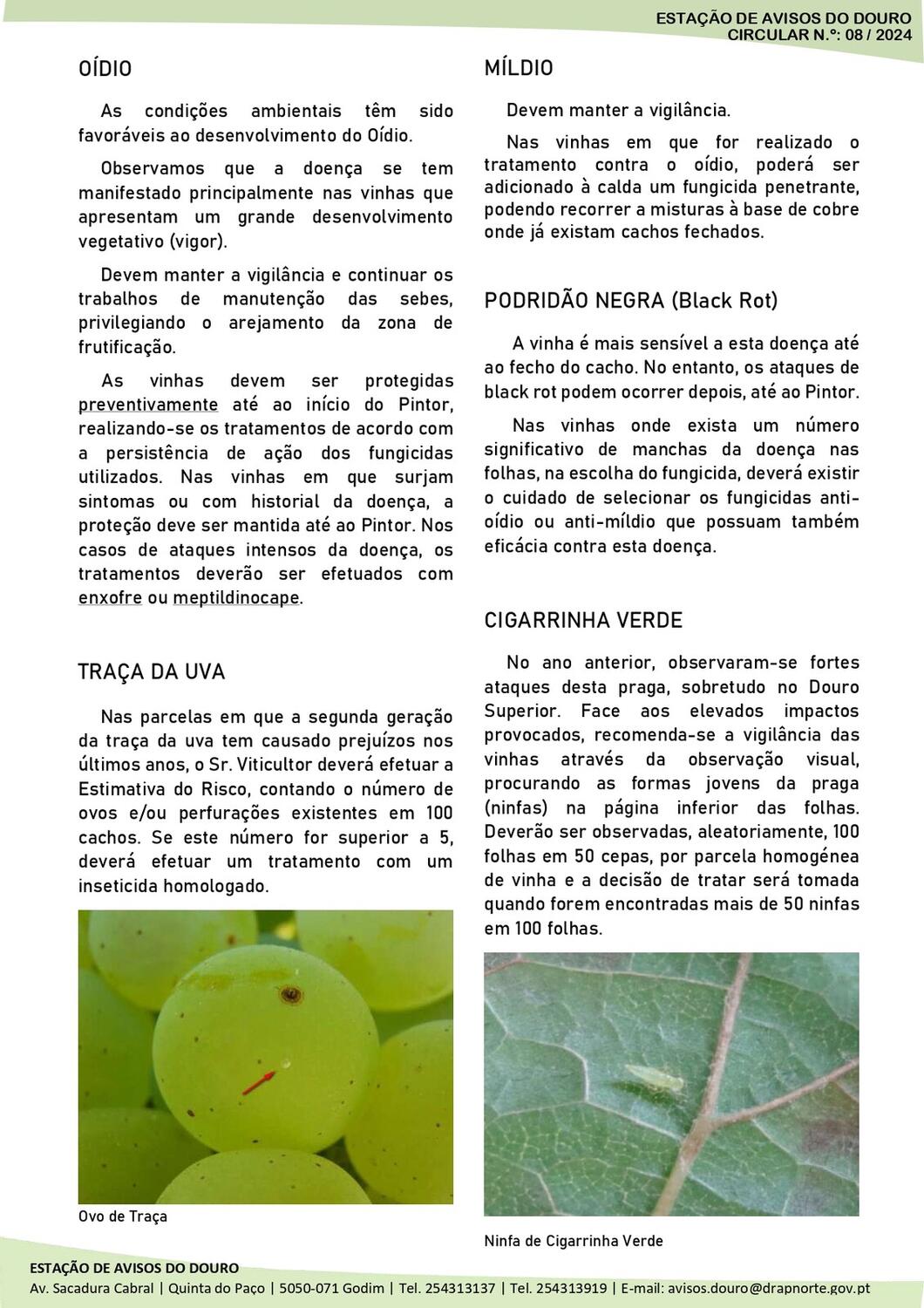 Circular EAD 08-24_page-0002