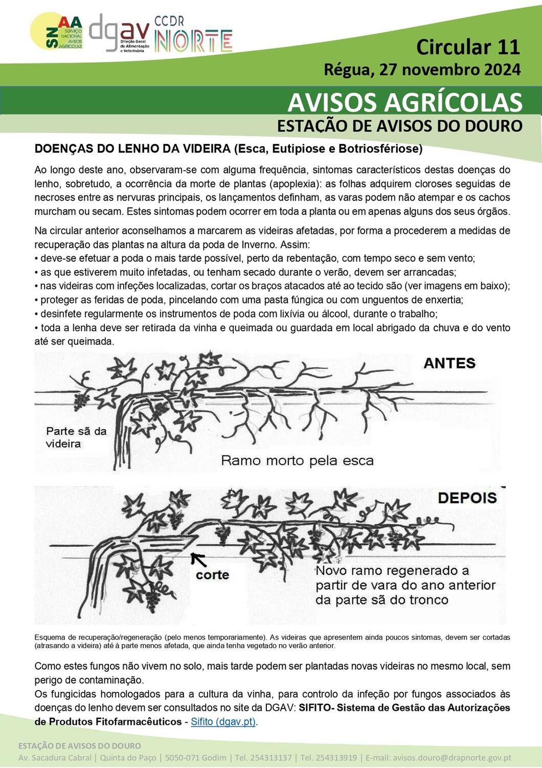 Circular_11_24_page-0001