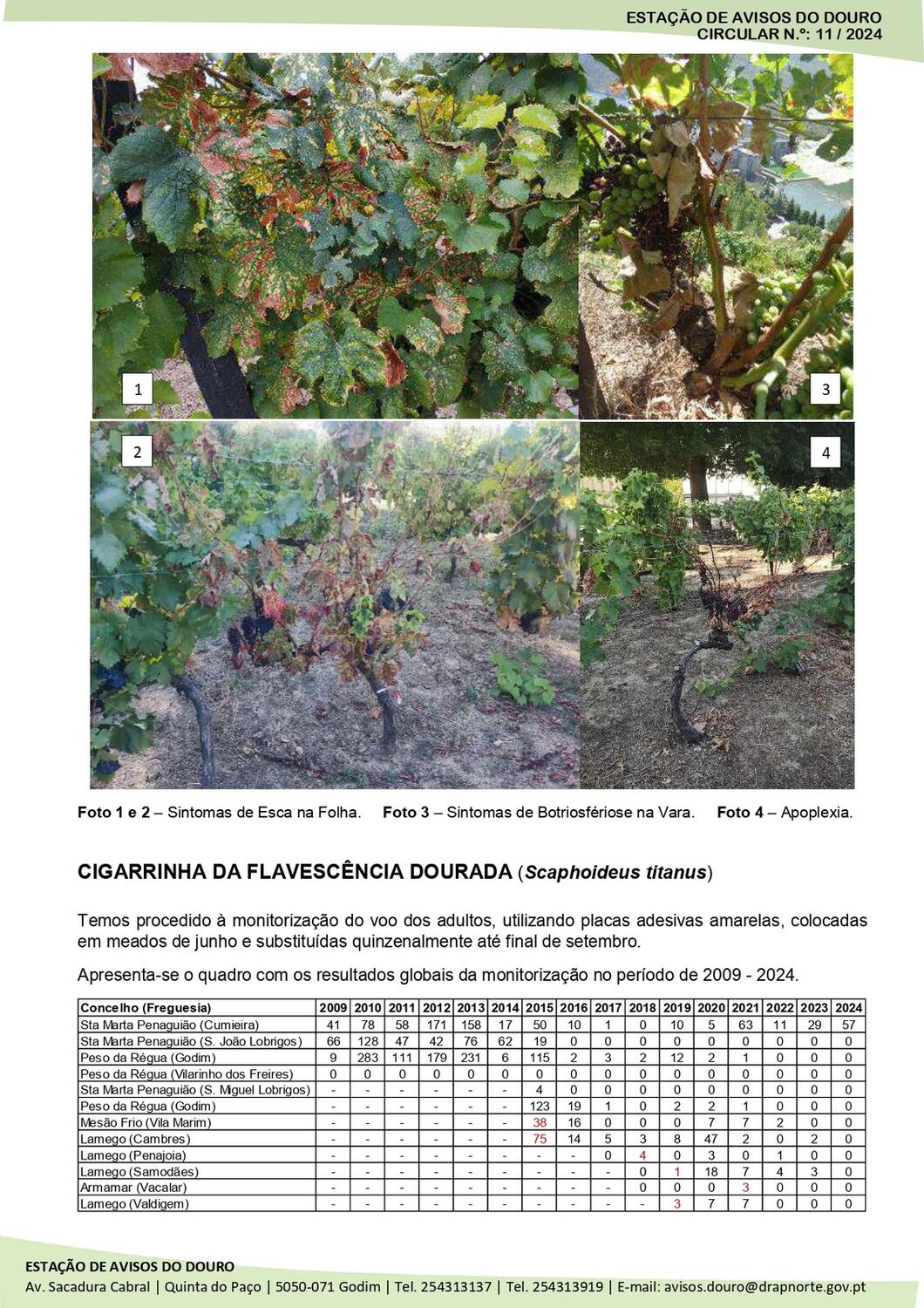 Circular_11_24_page-0002