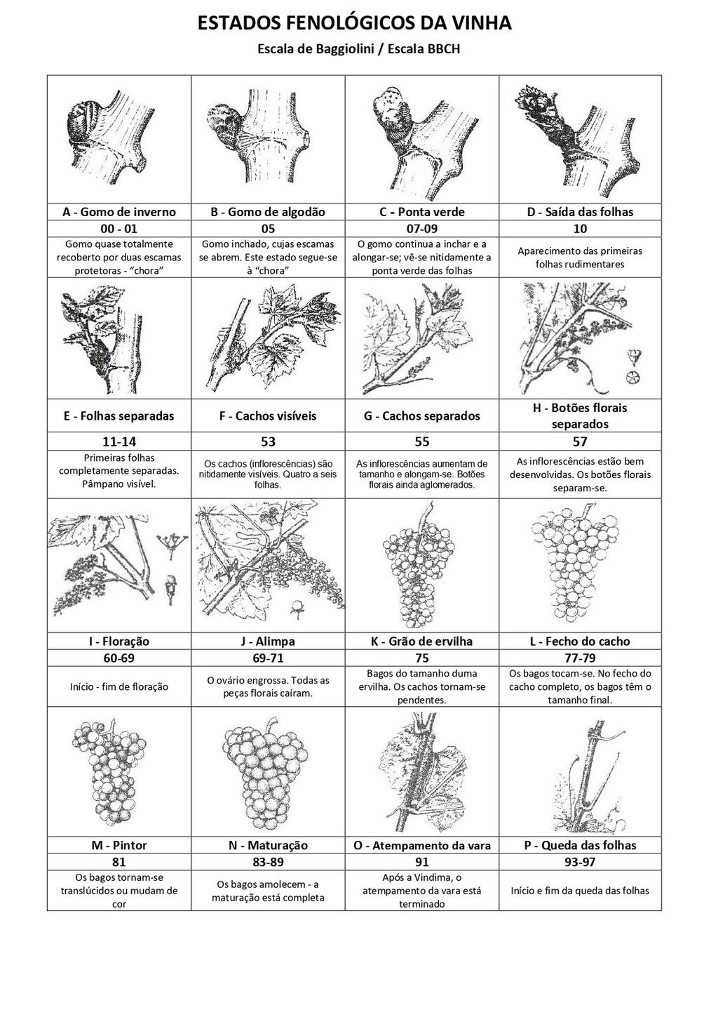 Circular EAD 02-25_page-0002