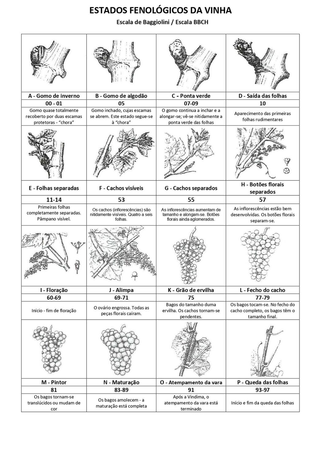 Circular EAD 02-25_page-0002