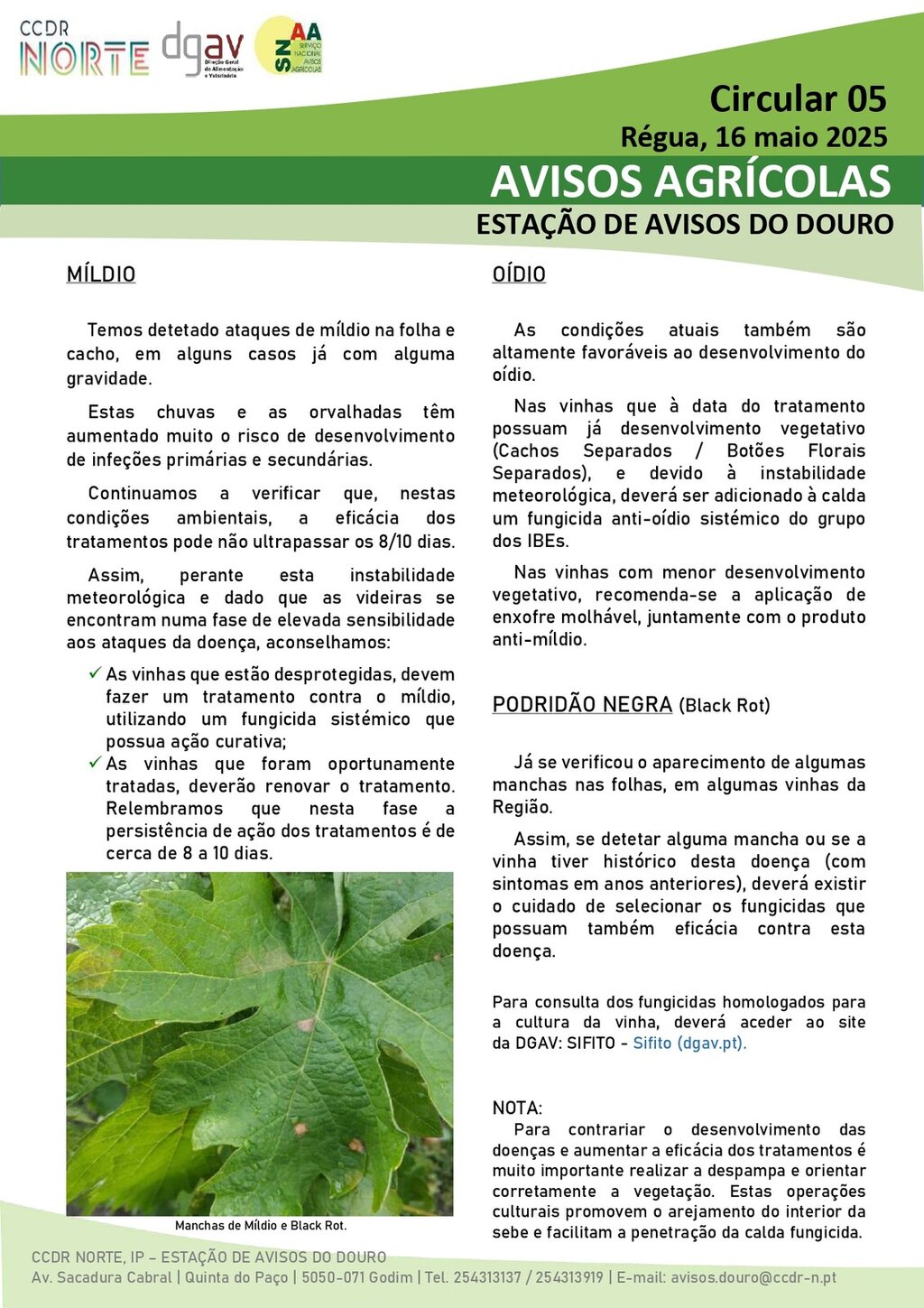 Circular EAD 05-25_page-0001