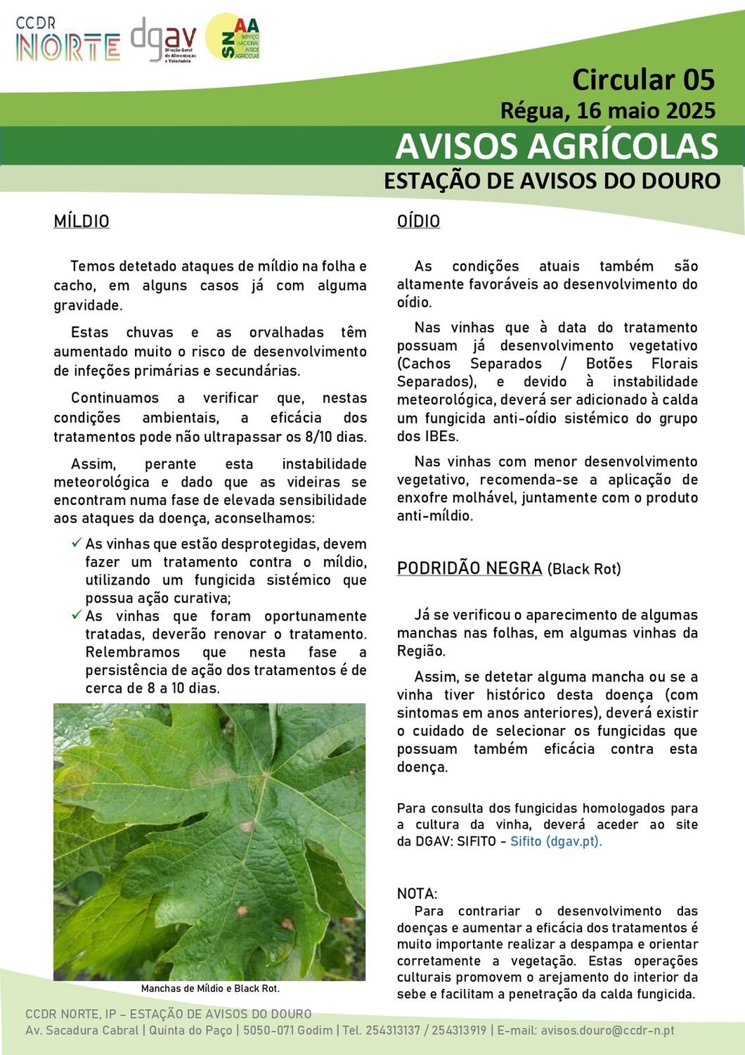 Circular EAD 05-25_page-0001