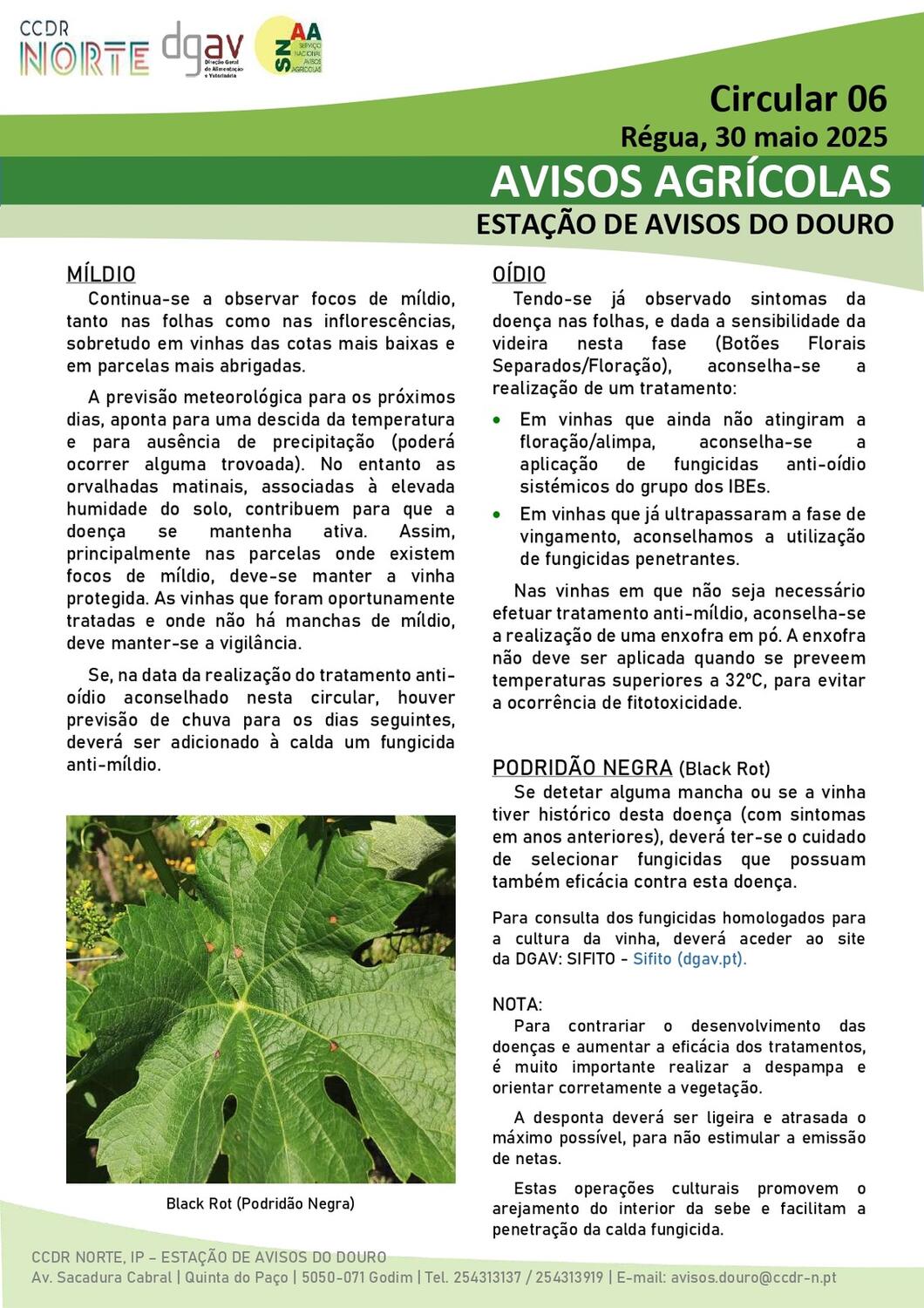 Circular EAD 06-25_page-0001