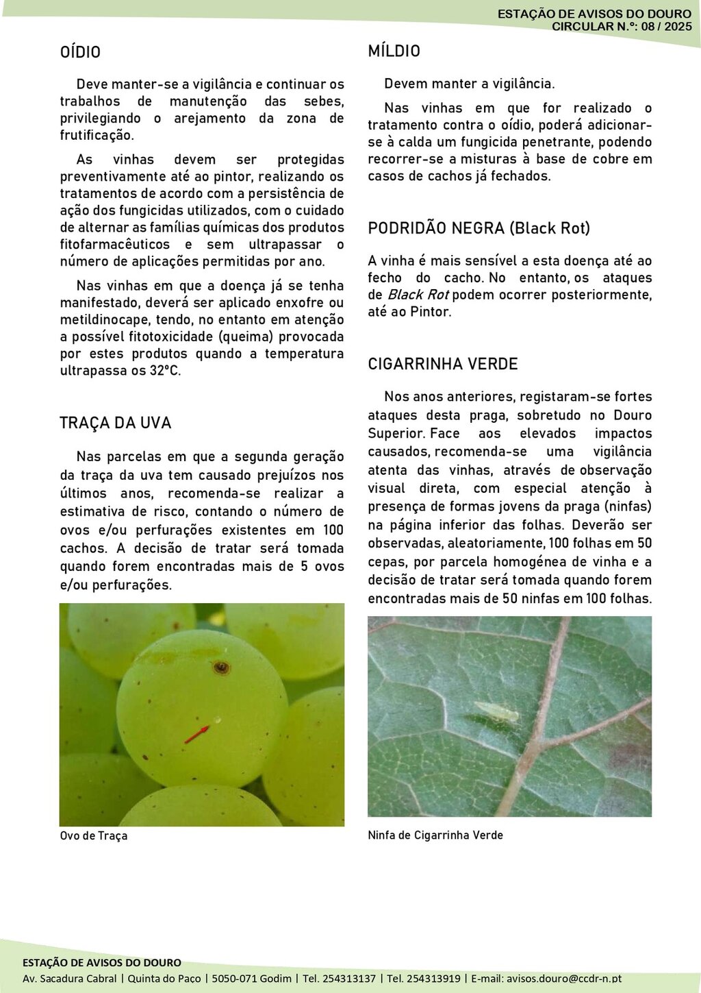 Circular EAD 08-25_page-0002