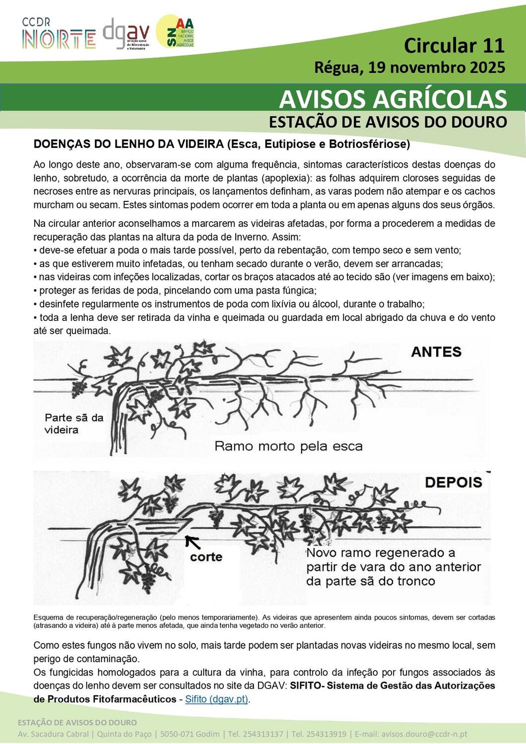 Circular EAD 11-25_page-0001