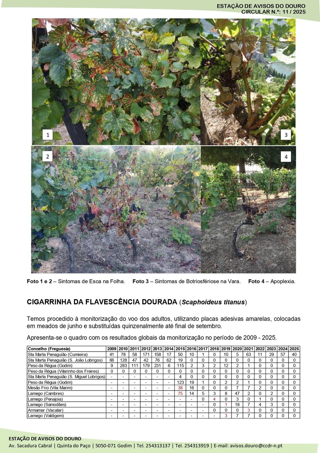 Circular EAD 11-25_page-0002