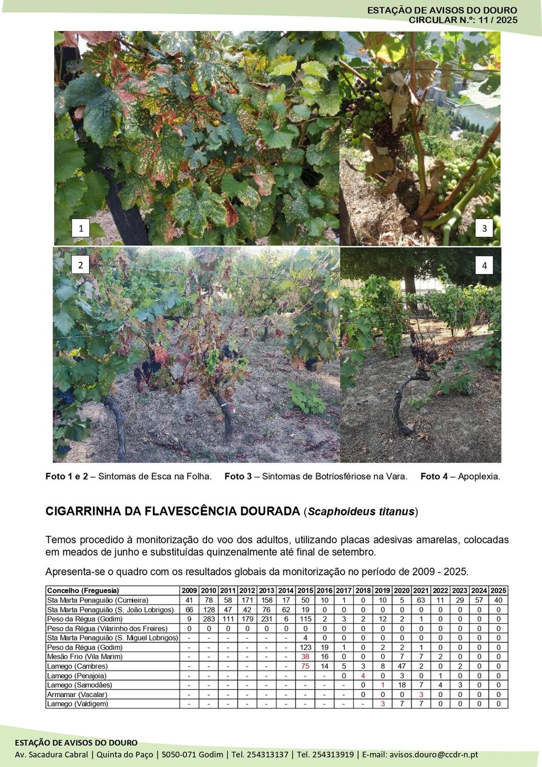 Circular EAD 11-25_page-0002